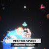 Vector Space Graphics Toolkit