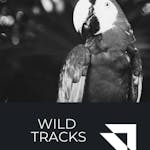 Wild Tracks