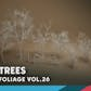 Foliage VOL.26 - Dead Birch Trees (Nanite + Low Poly)
