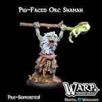 Pig-Faced Orc Shaman