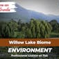 Willow Lake Biome Environment