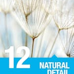 Preset # 12 for HDR projects - Natural Detail