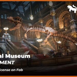 Historical Museum Environment