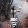 8000+ Wonderful LUTs Bundle