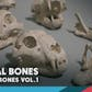 Bones VOL.1 - Animal Bones 1 (Nanite + Low Poly)