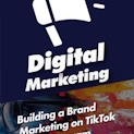 Building a Brand Marketing on TikTok and Instagram
