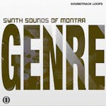 Synth Sounds of Montra
