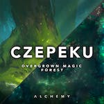 Overgrown Magic Forest