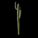 Outlaw - Prop - Cactus_E