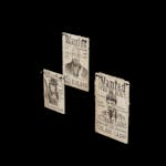 Outlaw - Prop - Wanted_Poster_C