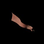 Outlaw - Prop - Flag_C