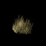 Outlaw - Prop - Grass_Patch_G