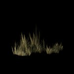 Outlaw - Prop - Grass_Patch_Q