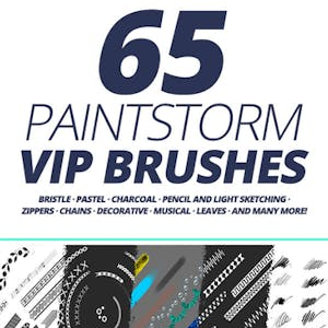 Paintstorm Studio VIP Brushes