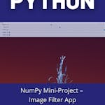 NumPy Mini-Project - Image Filter App