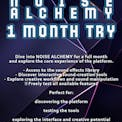 NOISE ALCHEMY 1 MONTH TRY
