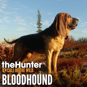 theHunter: Call of the Wild - Bloodhound