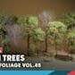 Foliage VOL.45 - Beech Trees (Nanite - NO TRANSPARENCY)