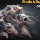 Skulls & Bones Vol.1