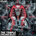 The Temple - Drum & Bass *BONUS sample pack*