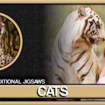 Pixel Puzzles Traditional Jigsaws Pack: Cats