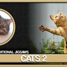 Pixel Puzzles Traditional Jigsaws Pack: Cats 2