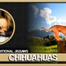 Pixel Puzzles Traditional Jigsaws Pack: Chihuahuas