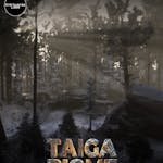 Taiga Biome Environment ( Unreal Engine)