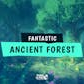 FANTASTIC - Ancient Forest