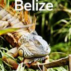 Lonely Planet Belize 8