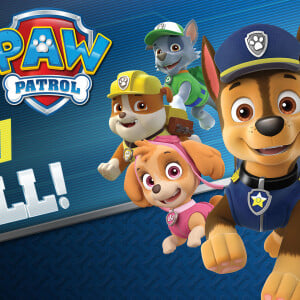 Paw Patrol: On A Roll!