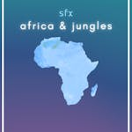 Africa & Jungles