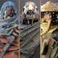 Sci-Fi Mercenaries (Pack)