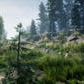 Mountain Trees - Dynamic Nature