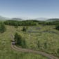 Meadow Environment - Dynamic Nature