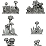Fungus & Wood Accessories