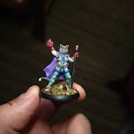 Cat Wizard