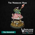 The Mushroom Mage