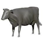 Farm Animal - Cow