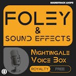 Foley & Sound Effects
