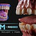 Ultra-Realistic Gum - 8K PBR | Game-Ready | Fully Rigged | Blender