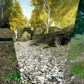 Landscape Ground Pack