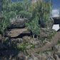 Nature Set