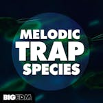 Melodic Trap Species