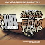Acoustic Percussion For EDM & Trap