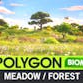 POLYGON - Meadow Forest - Nature Biome