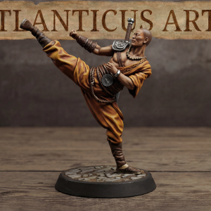 Male Human Monk - Kenshin Tanaka - Unarmed Kicking