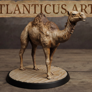 Camel