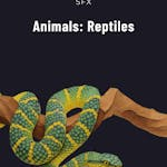 Animals: Reptiles