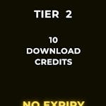 Tier 2